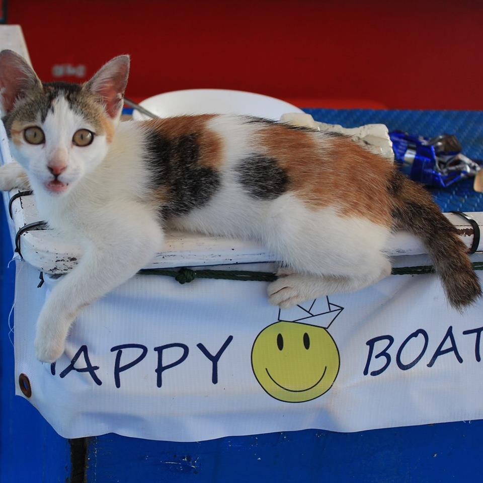 Koh Phi Phi Happy Boat